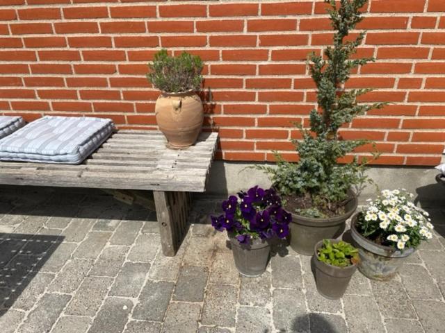 Anita's Accommodatie bij particulieren *
