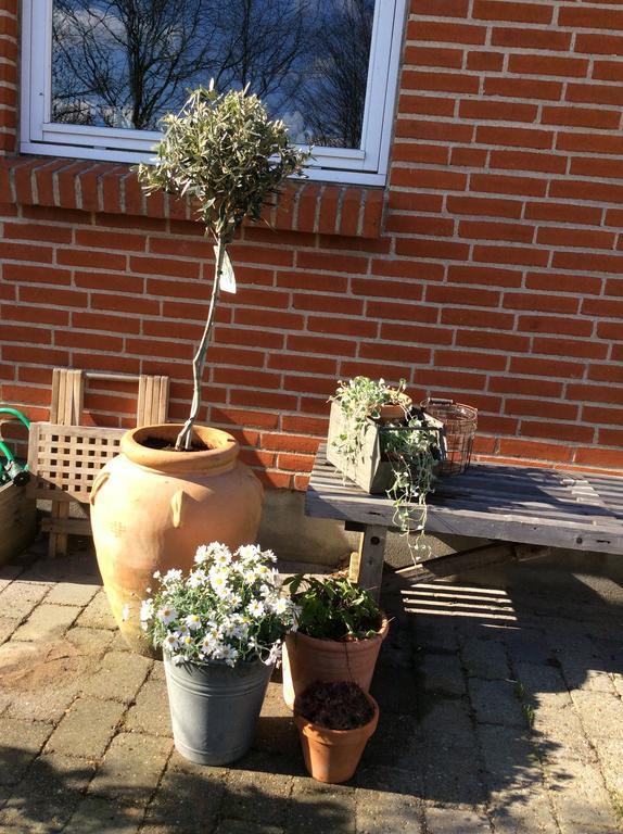 Accommodatie bij particulieren Anita's *